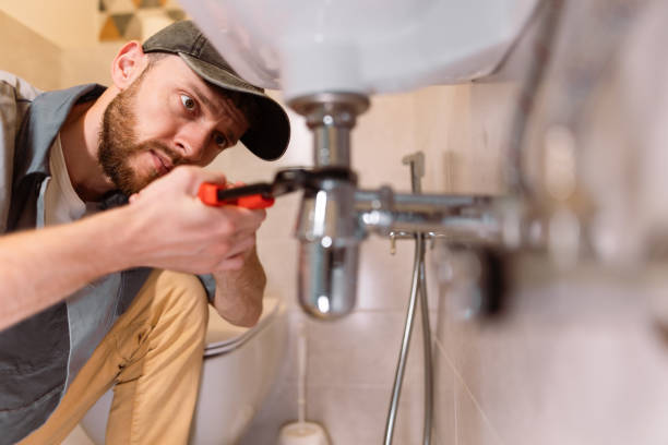 Best Commercial Plumbing Services  in Lauderdale, MN